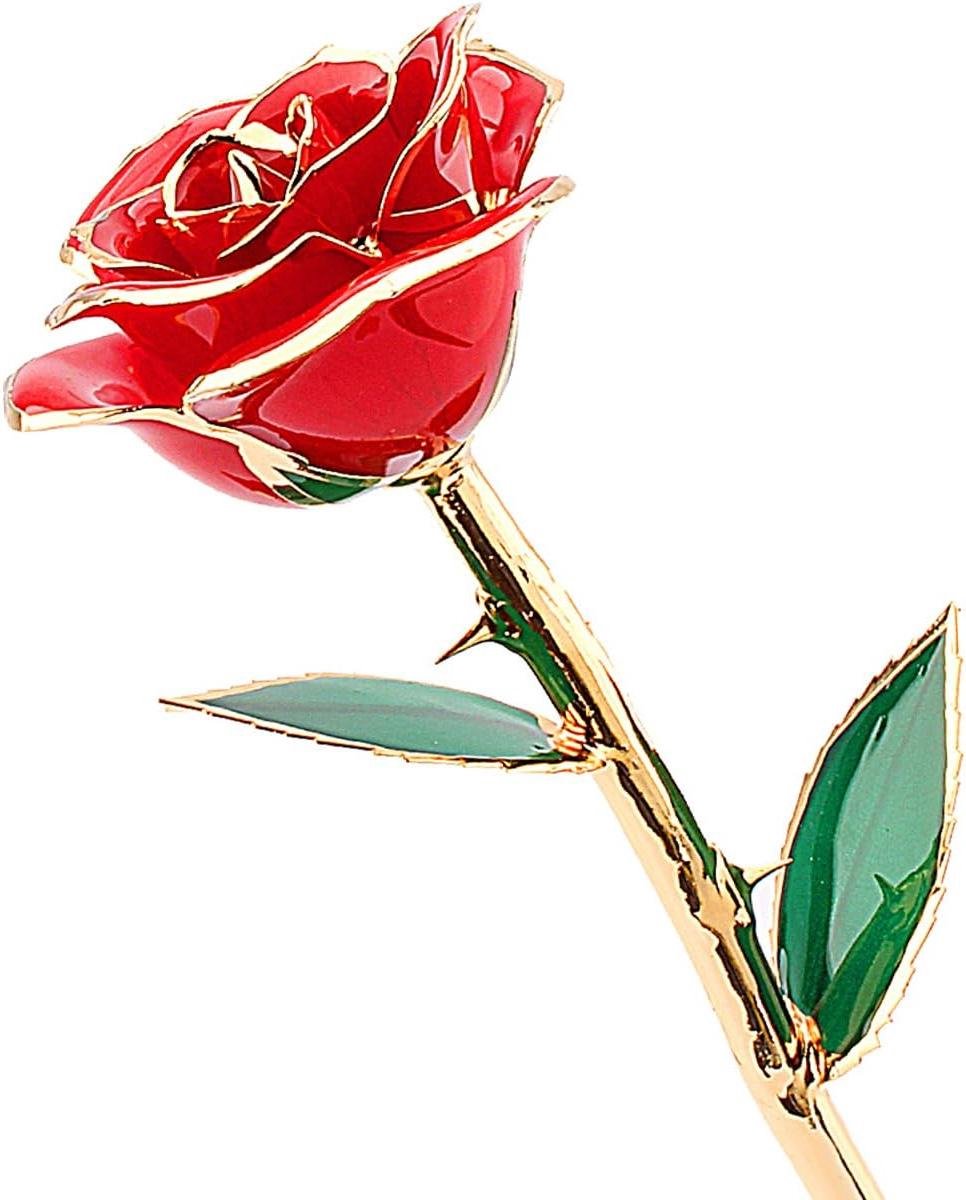 Eeuwige Roos - Gouden Bloem - Liefde Tonen - 24 Karaats Verguld - 29 cm - Rood