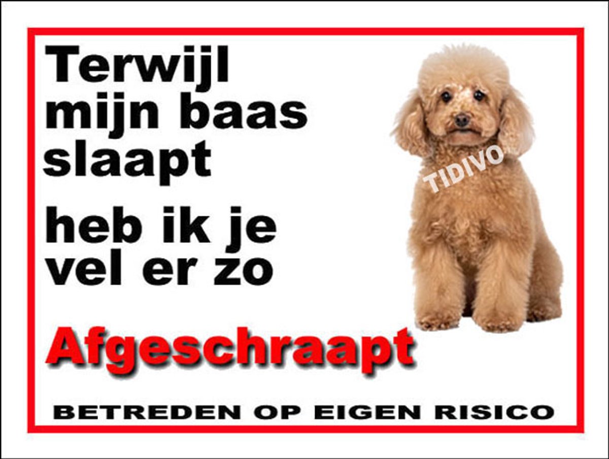 Toypoedel 15
