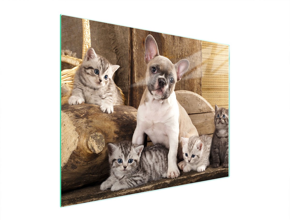 TMK ArtDeko - Snijplank - 52x40 cm - Glas - Antislip - Hittebestendig