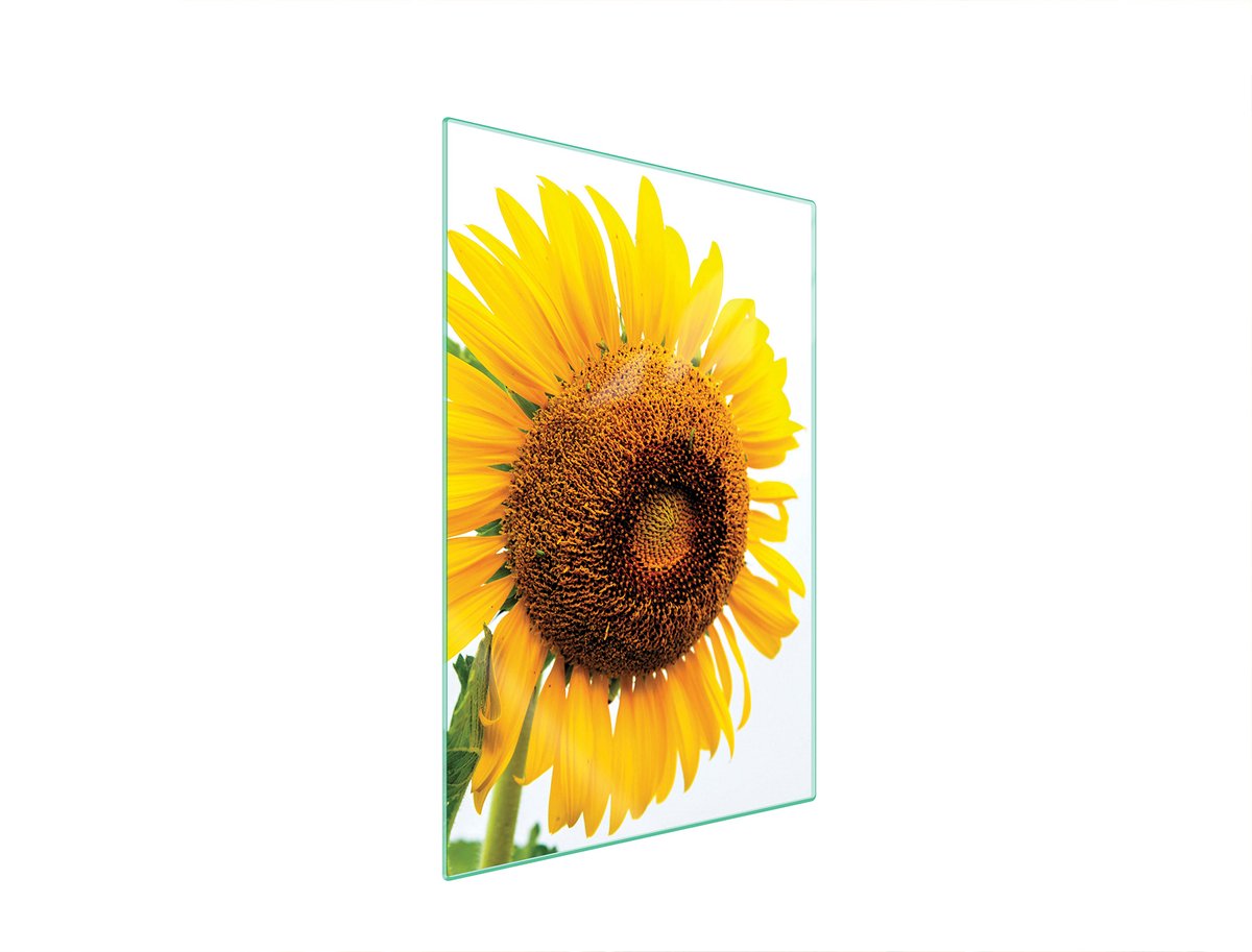 TMK ArtDeko - Snijplank Glas - 35x52 Kwiat - Hartglas - Antislip Voeten