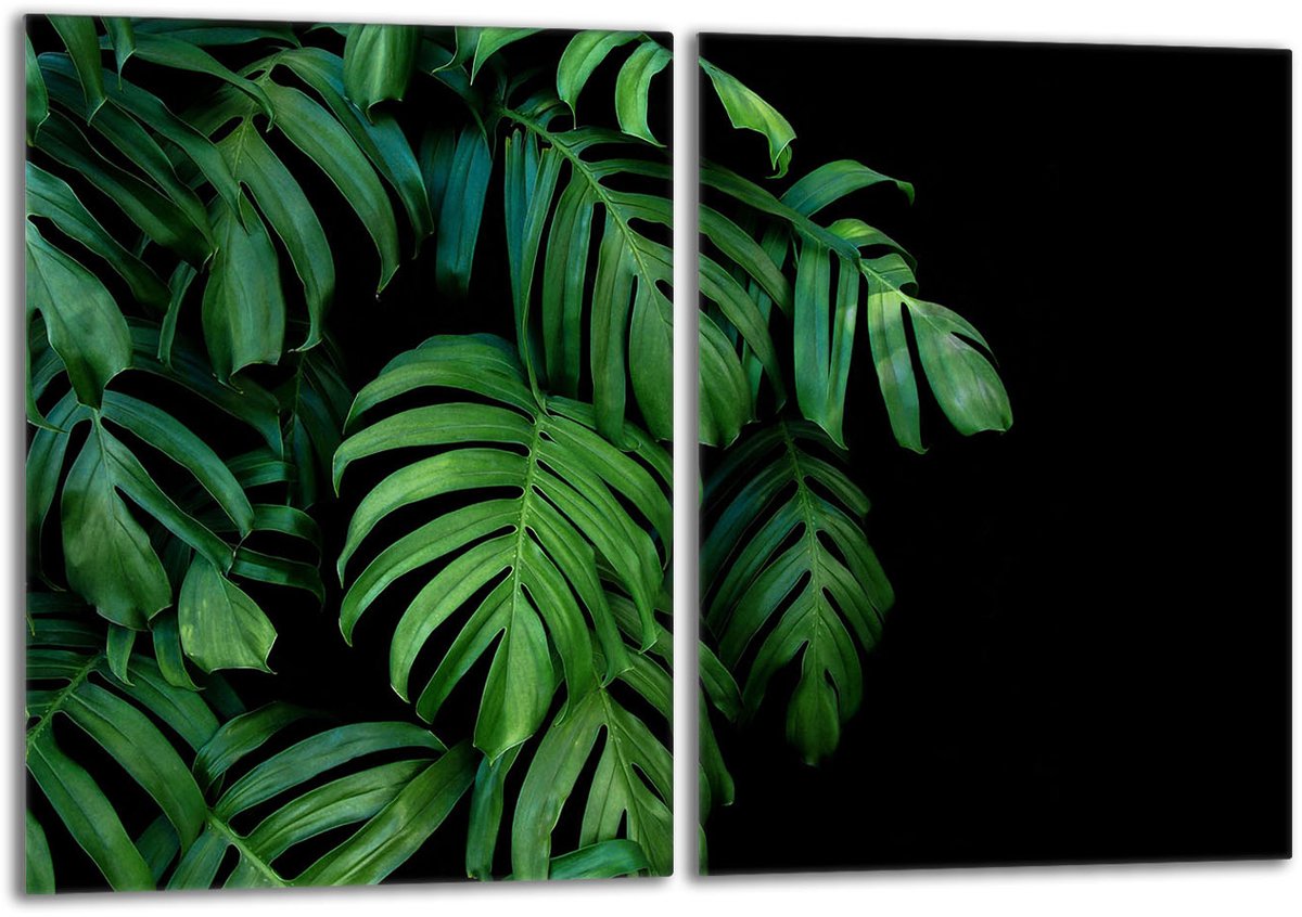 TMK ArtDeko - Glas Beschermplaat - 2x40x52 - Monstera - Veilig en Hygiënisch