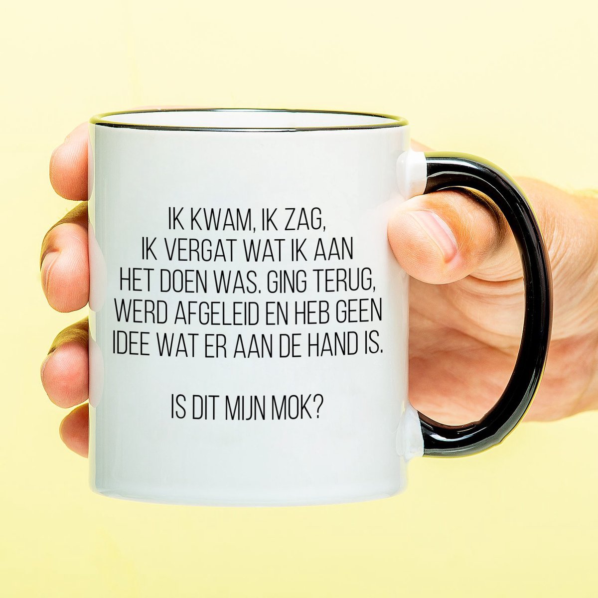 Ditverzinjeniet.nl Mok Ik kwam, ik zag, ik vergat