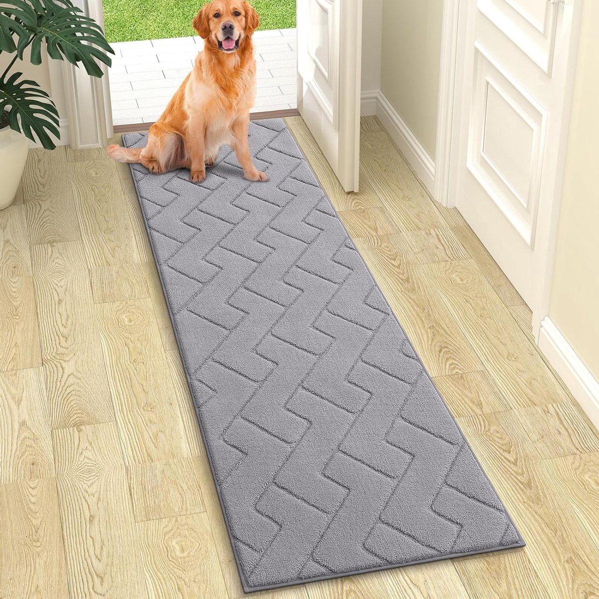 Binnendeurmat - Entree mat - Vuil en vocht opvangen - Antislip rubberen achterkant - 70 x 