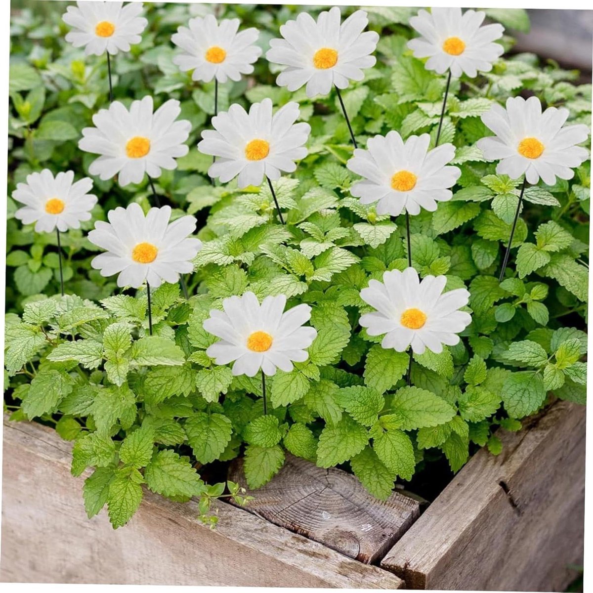 Bloem tuin spel, 10 stuks 11,8 inch zijden madeliefje bloem tuin stakes, bloem tuin kunst decor voor tuin gazon pad