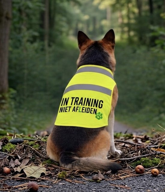 Duitse herder in geel trainingsvest met reflecterende strepen en de tekst "IN TRAINING NIET AFLEIDEN".