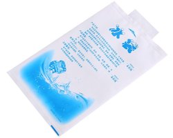 Dailygoody - Drink Droogijs - Herbruikbare Ice Packs - Perfect voor Voedsel en Medisch Gebruik - 10 Stuks - Koeltassen - 400ml - Ideaal voor Lunc
