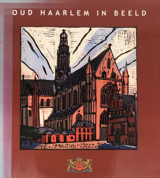 9789080841017 - Oud Haarlem In Beeld