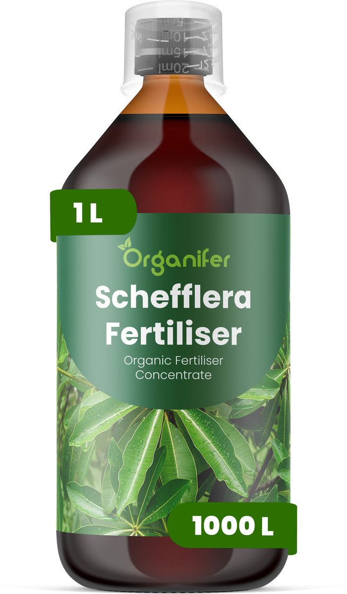 Vloeibare Meststof Voor Schefflera 1 L Voor 1000 L - Npk 3-4-3 - Ondersteunt Evenwichtige Groei Bij Schefflera - Bevordert Sterke - Goed Gestructureerde Stelen En Bladgroei - Helpt Een Compacte, Aantrekkelijke Plantvorm Behouden - Organifer