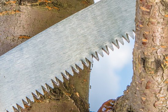 Verto Serie - Gebogen Tuinzaag - 350 mm - Ergonomische Handgreep van VERTO — afbeelding 4