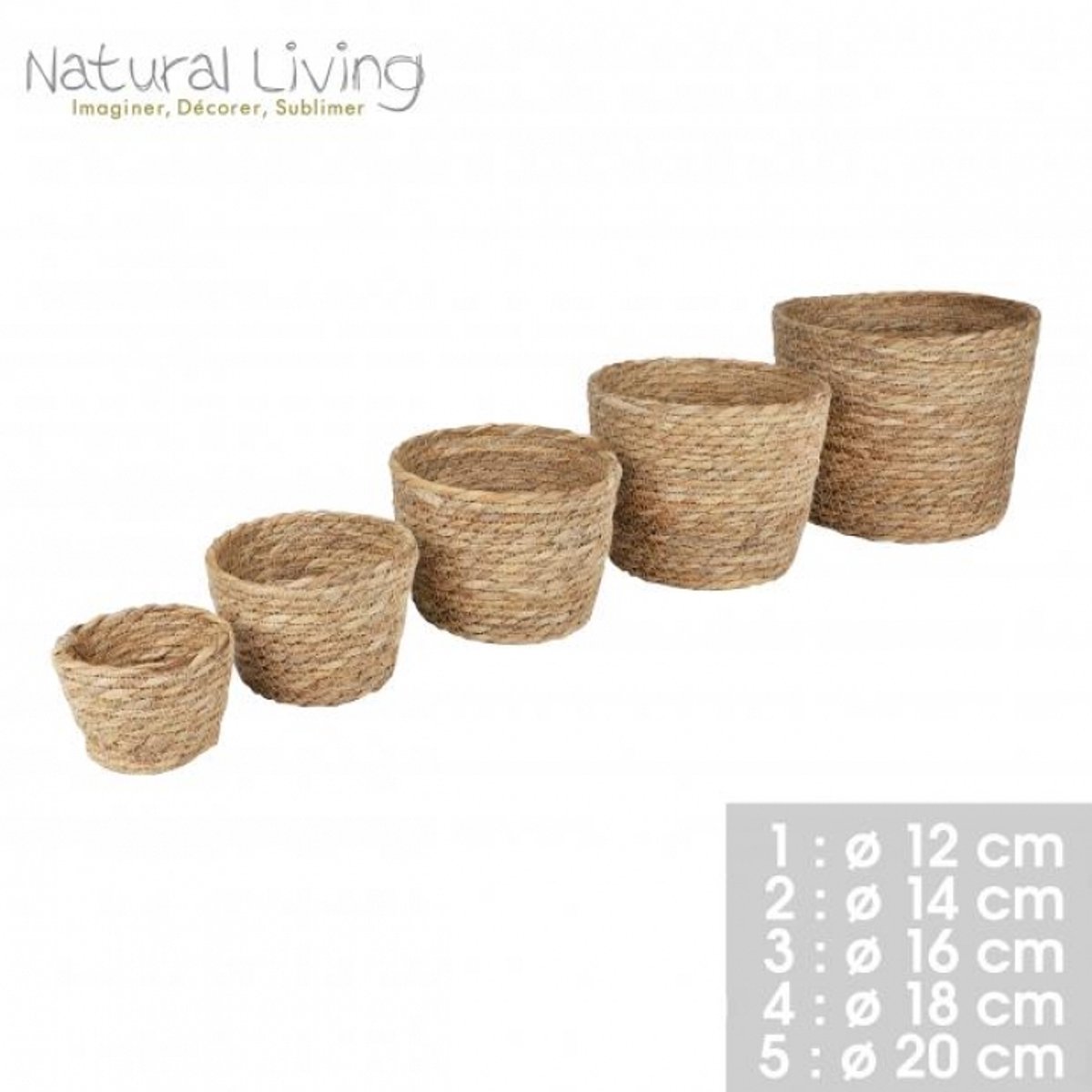 “NATURAL LIVING” SET VAN 5 MANDEN IN ZEEGRAS Ø12CM/14CM/16CM/18CM/20CM