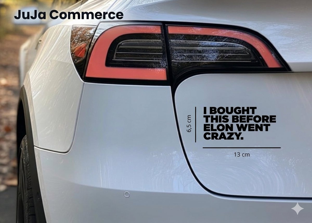 JuJa Commerce® Zwarte Grappige Autosticker “I Bought This Before Elon Went Crazy” – Waterdicht & Weerbestendig – Tesla / Humor Sticker Auto, Laptop & Koffer (13 x 6,5 cm)