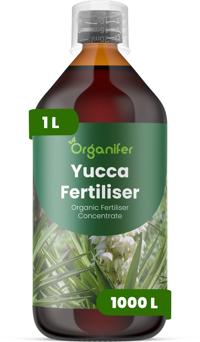 Vloeibare Meststof Voor Yucca - 1 L Voor 1000 L - Npk 3-4-3 - Versterkt De Natuurlijke Weerbaarheid Van Planten Tegen Droogte En Hitte - Geeft Een Prachtige Bladglans Voor Een Esthetisch Aantrekkelijk Resultaat - Jaarrond Toepasbaar - Organifer