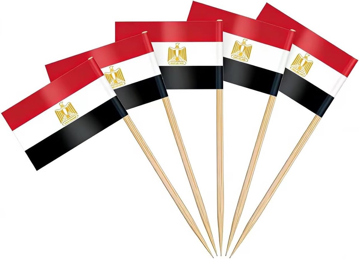 100/200 Stuks Egyptische Tandenstokers Vlaggen voor Nationale Feestdagen, Cocktails en Party Decoraties, Ideaal voor Sandwiches en Cupcakes