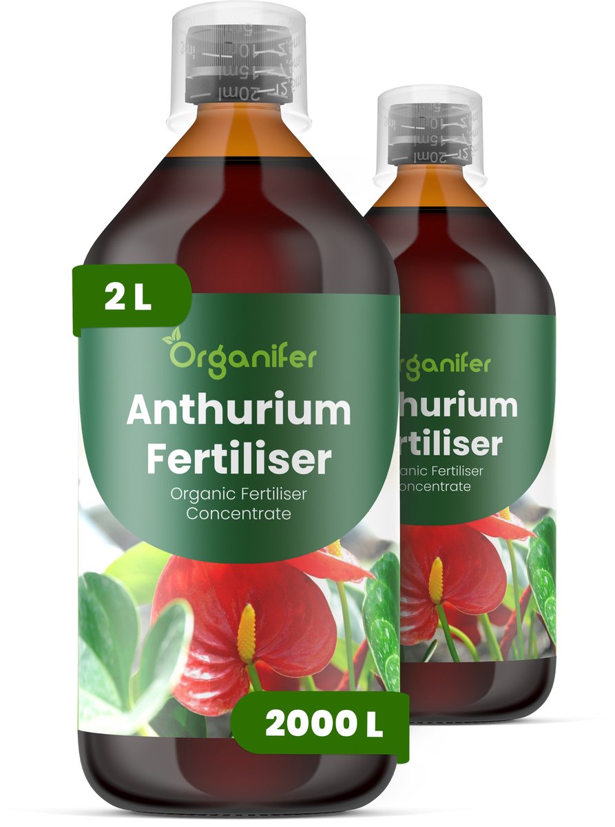 Vloeibare Meststof Voor Anthurium 2X1 L Voor 2000 L - Npk 3-4-3 - Overvloedige Bloei - Levendige Schutbladen - Kleurintensiteit - Sterke Wortelontwikkeling - Rechtopstaande Stele - Lage Luchtvochtigheid - Diepgroen Glanzend Blad - Organifer