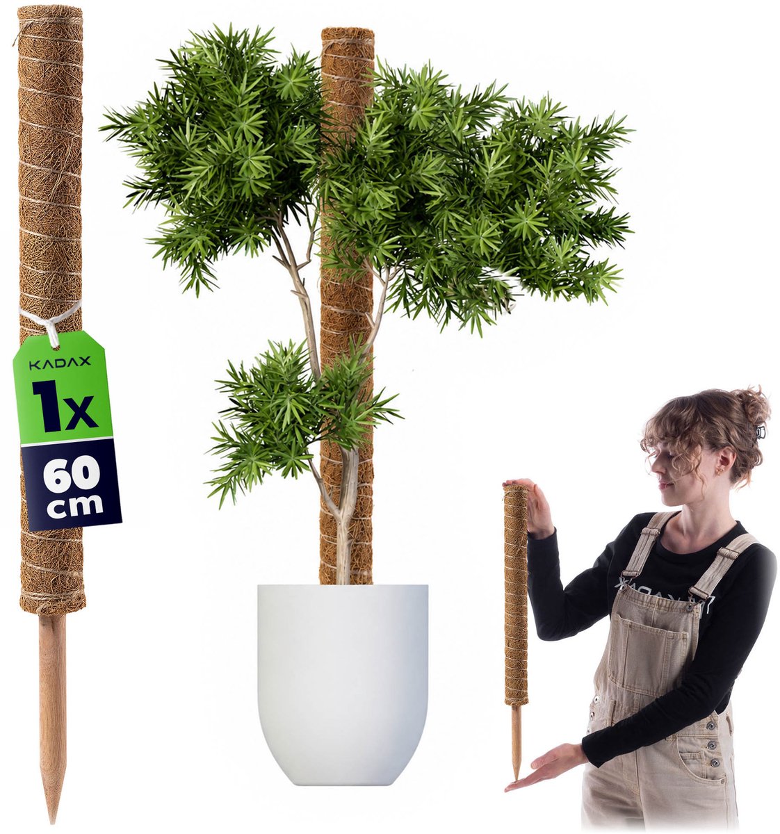KADAX Kokosstok 60 cm voor kamerplanten, 1 stuk, kokosvezelstok voor veilige steun van planten, klimstok voor planten, monstera