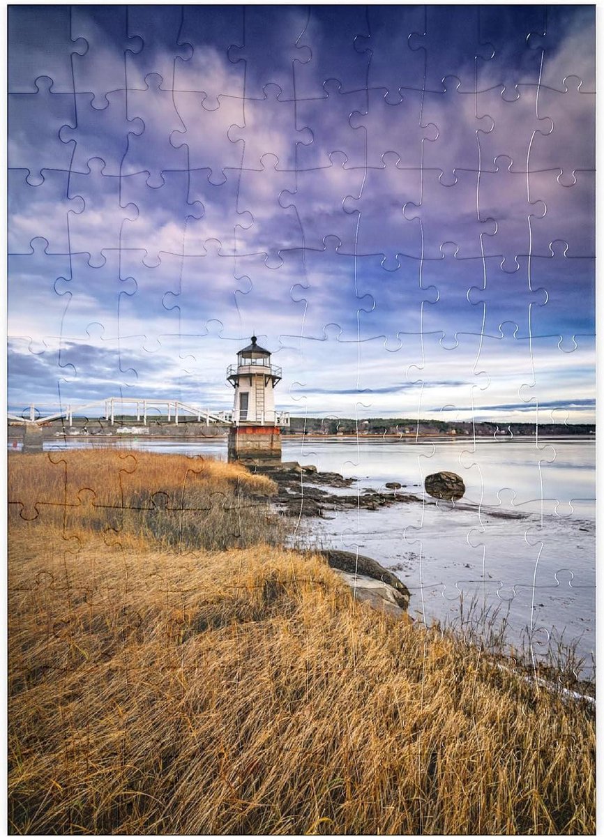 Puzzel Kustlandschap - Zeelands Gezicht - Ontspanning Thuis - Hoge Resolutie Print - 100 Stukjes - Meerdere Kleuren