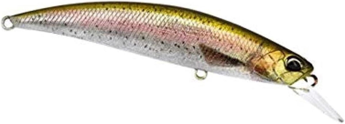 Kunstaas - Vissen Lokaas - Vissen - Zinkend - 7 cm 9g - Rainbow Trout