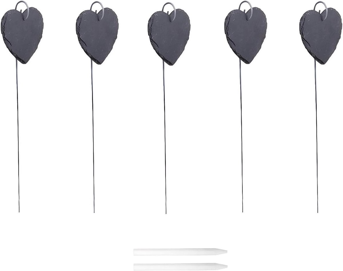 Set van 5 Weerbestendige Plantenetiketten voor Markering van Planten en Kruiden, Inclusief 40 cm Stok