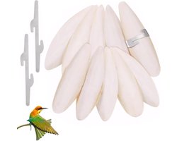 Set van 10 sepia schelpen voor slakken en vogels, 9-12 cm, calciumrijke accessoires voor reptielen en huisdieren