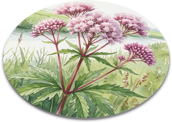 Ronde muismat met aquarel planten illustratie van roze koninginnenkruid aan de rivier - Eupatorium cannabinum bloemen - Aquarel Series onderlegger voor computer en thuiswerkplek bureau decoratie