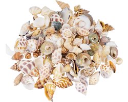 0.5 kg Schelpen voor Creatieve Decoratie, 0.5 - 3 cm, Mariene Versiering, Thema Feest, Aquariums, Vazen, Bruiloften, Natuurlijke Decoratie, Zand en Vullingen