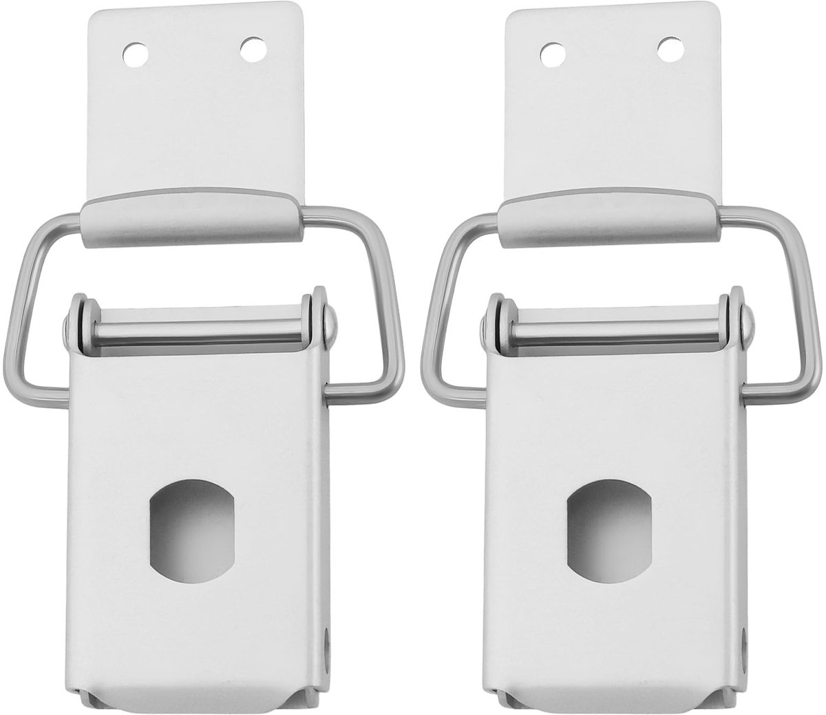 Dailygoods - 2 Stuks Hefboom Spanning Aluminium Slot voor Gereedschapskisten