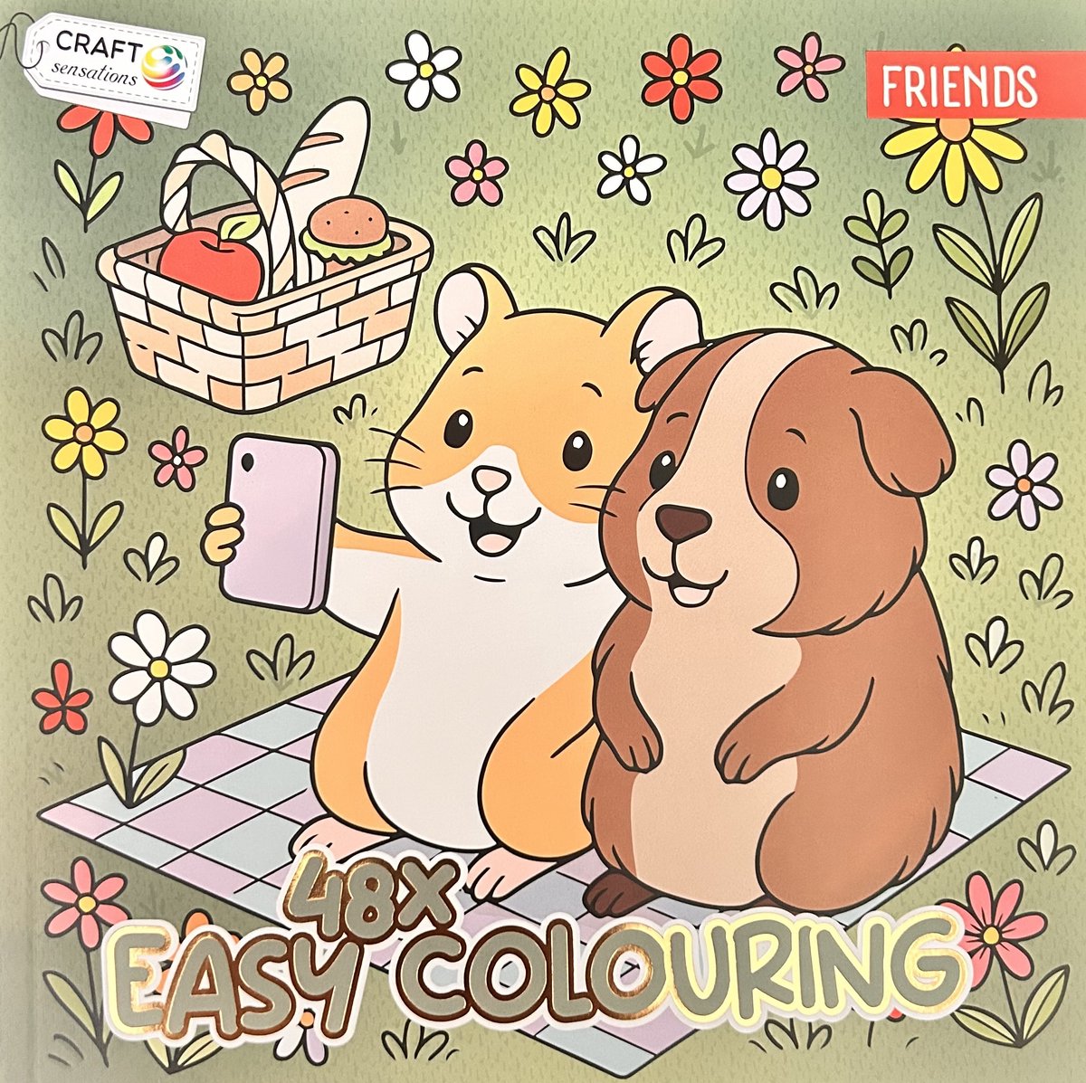Craft sensations easy colouring friends