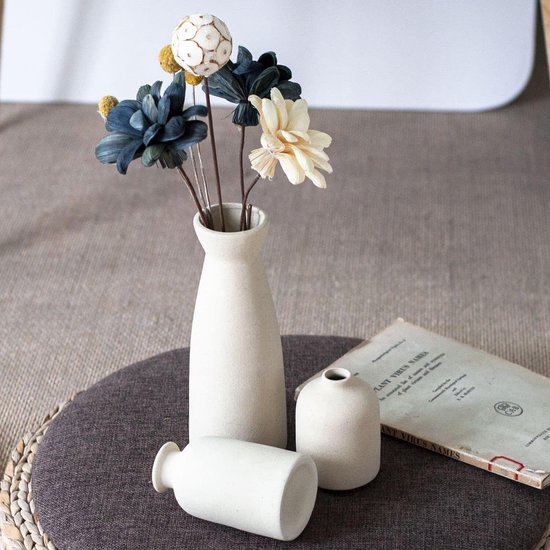 Keramische Vazen Set van 3 - Kleine Moderne Rustieke Boerderijstijl - Voor Pampasgras en Gedroogde Bloemen - Naturel