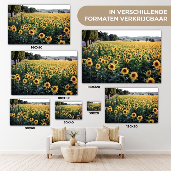 Peintures sur toile - Tournesol - Colline - Printemps - 120x80 cm - Décoration murale
