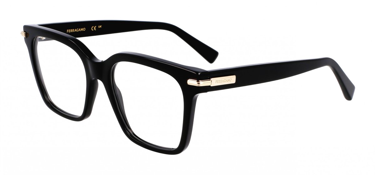 Ferragamo SF3009 Black 52/18/145 WOMAN Brilmonturen