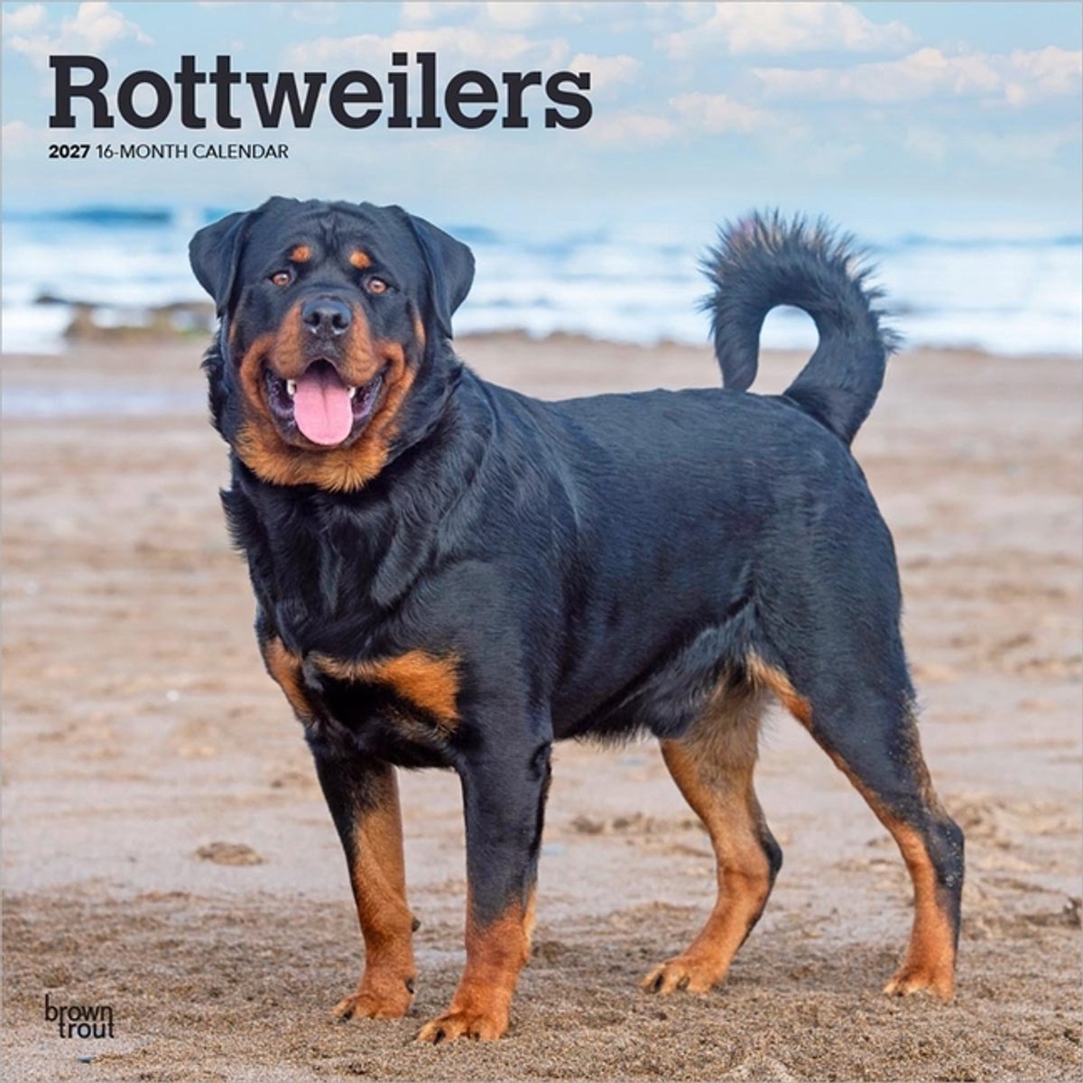 Rottweiler Kalender 2027