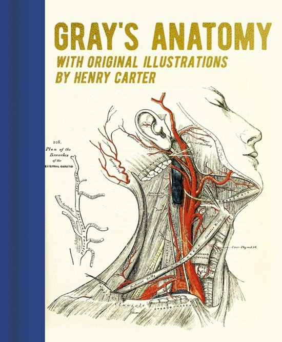 Arcturus Gilded Classics- Gray's Anatomy - cover
