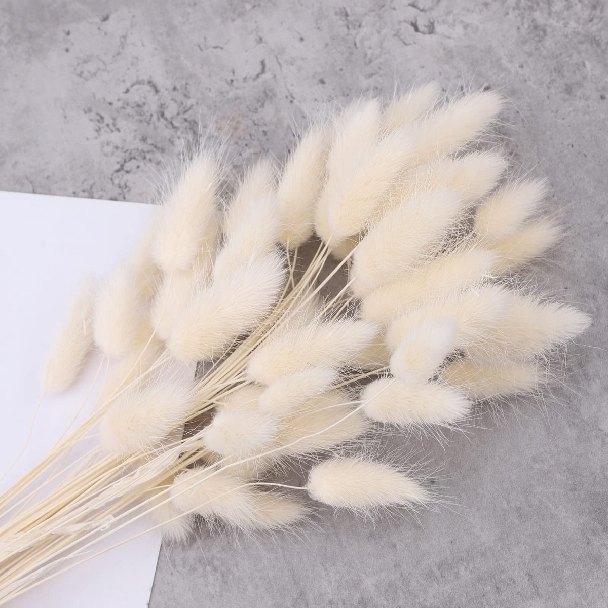 Dailygoods- Gedroogde Bloemen 50 Stuks - Lagurus Ovatus - Wit/Roze - Natuurlijke Kleur - 45 cm - Voor Huisdecoratie - Decoratieve Bloemen