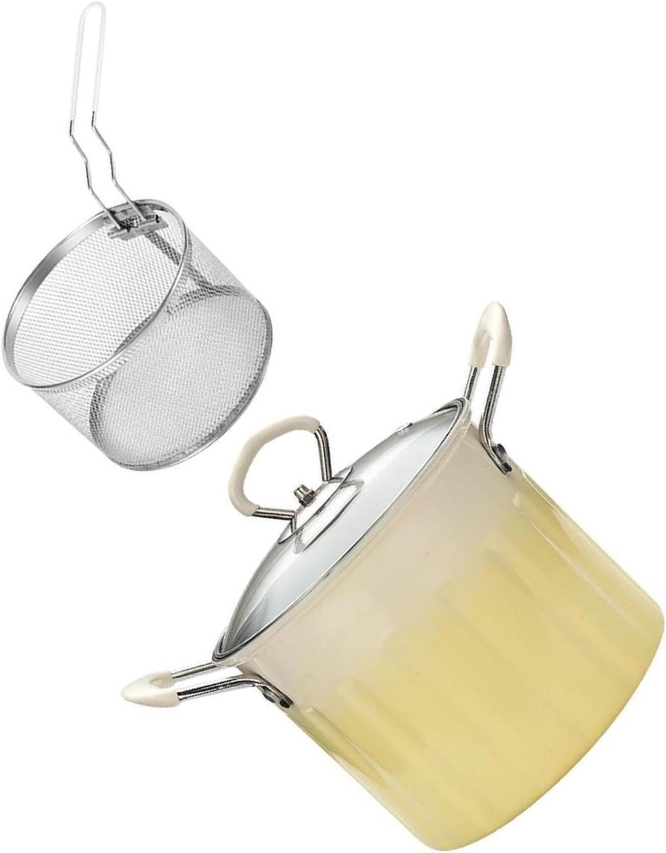 Kleine Frituurpan - Frituurmandje - Thuis Frituren - Snel en Gelijkmatig - 3L - Zilver