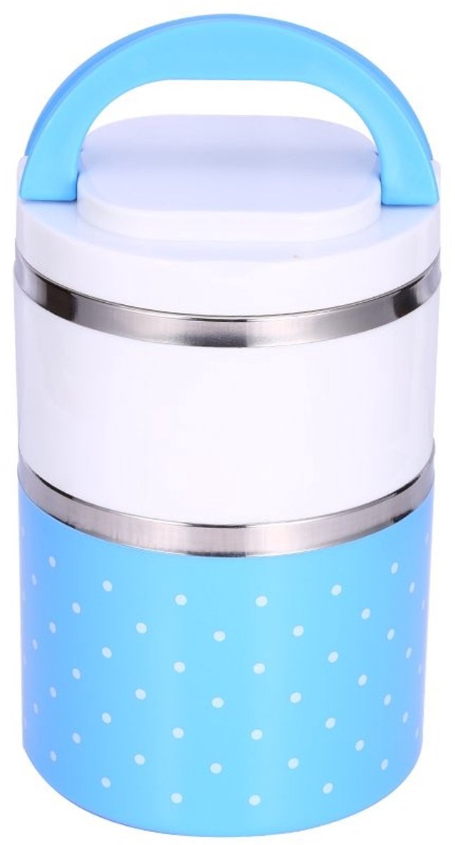 Dailygoods- Picknickbox 900 ml - Draagbare Geïsoleerde Lunchbox - Roestvrij Staal - Waterdichte Binnencontainer - Vaatwasmachinebestendig - Handgrepen