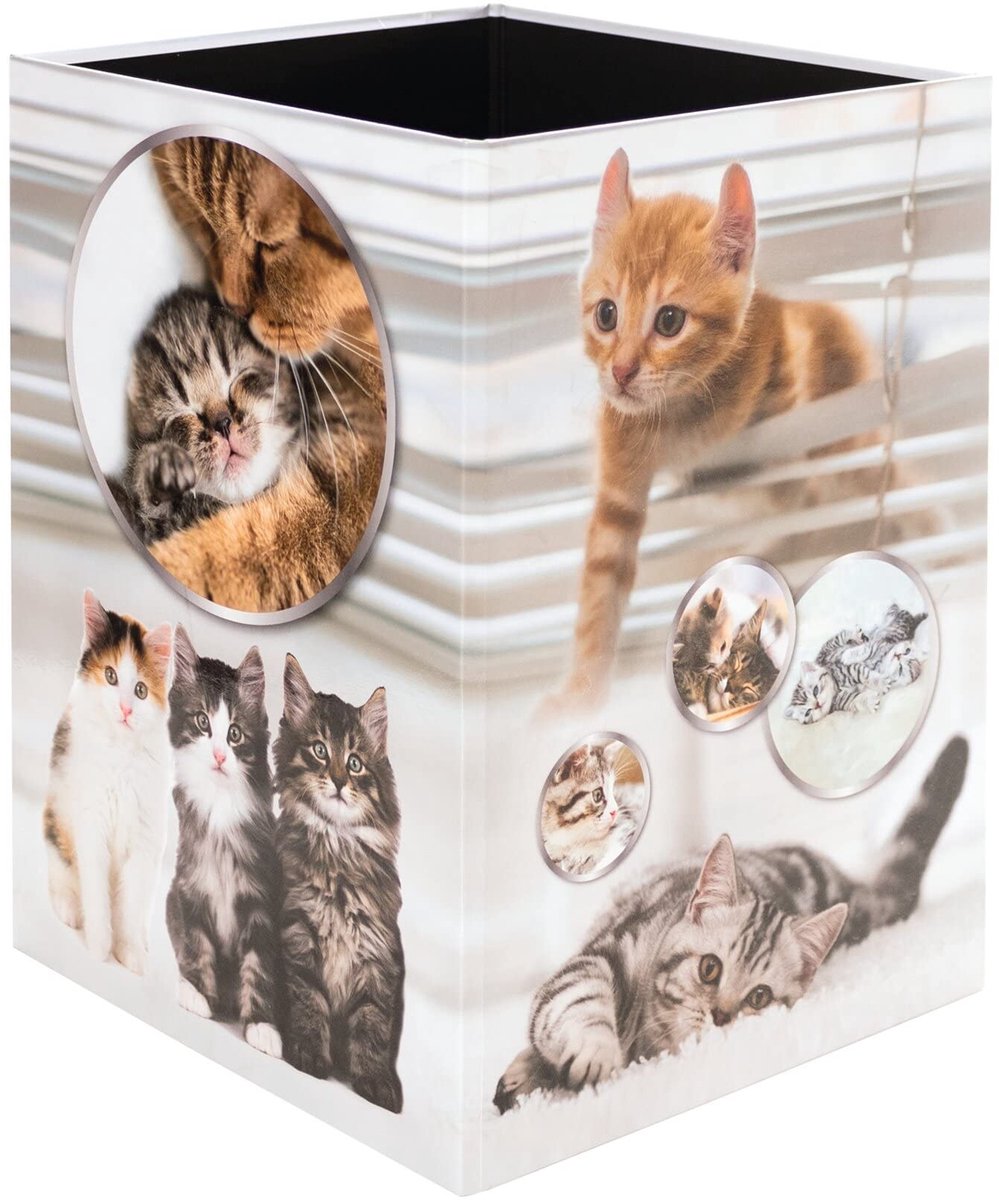 Dailygoods- Prullenbak 15 liter - Opvouwbaar - Stevig Karton - Rechthoekige Afvalemmer - Kinderen - Kattenmotief