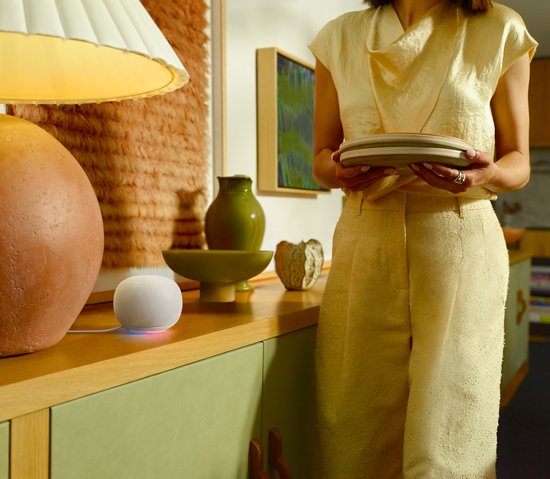 Google Home Speaker - Hazel van Google — afbeelding 4