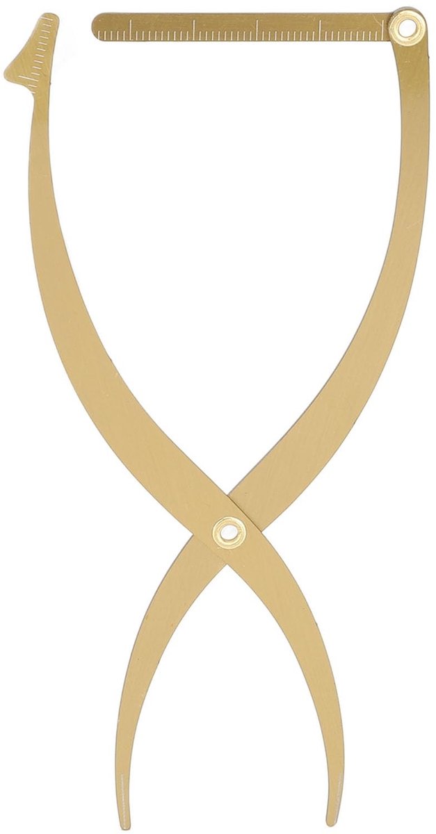 Dailygoods- Wenkbrauwliniaal Perfecte Symmetrie - Roestvrij Stalen Meetinstrument - Microblading - Gouden Ratio Ontwerp - Draagbaar - 3-punts Positionering - Wenkbrauwmeetinstrument