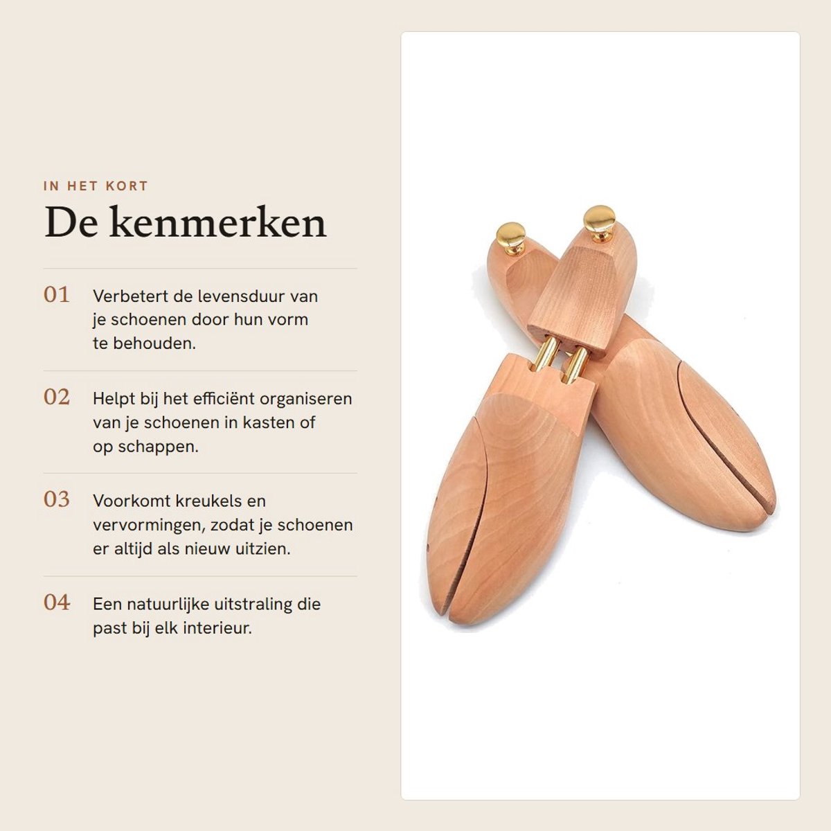 Dailygoods- Schoenenhouders Hoogwaardige Lotushouten - Houten Schoenenhouders - Maat 41-42 - Duurzaam - Lichtgewicht - Perfect voor Schoenonderhoud - Schoensteun