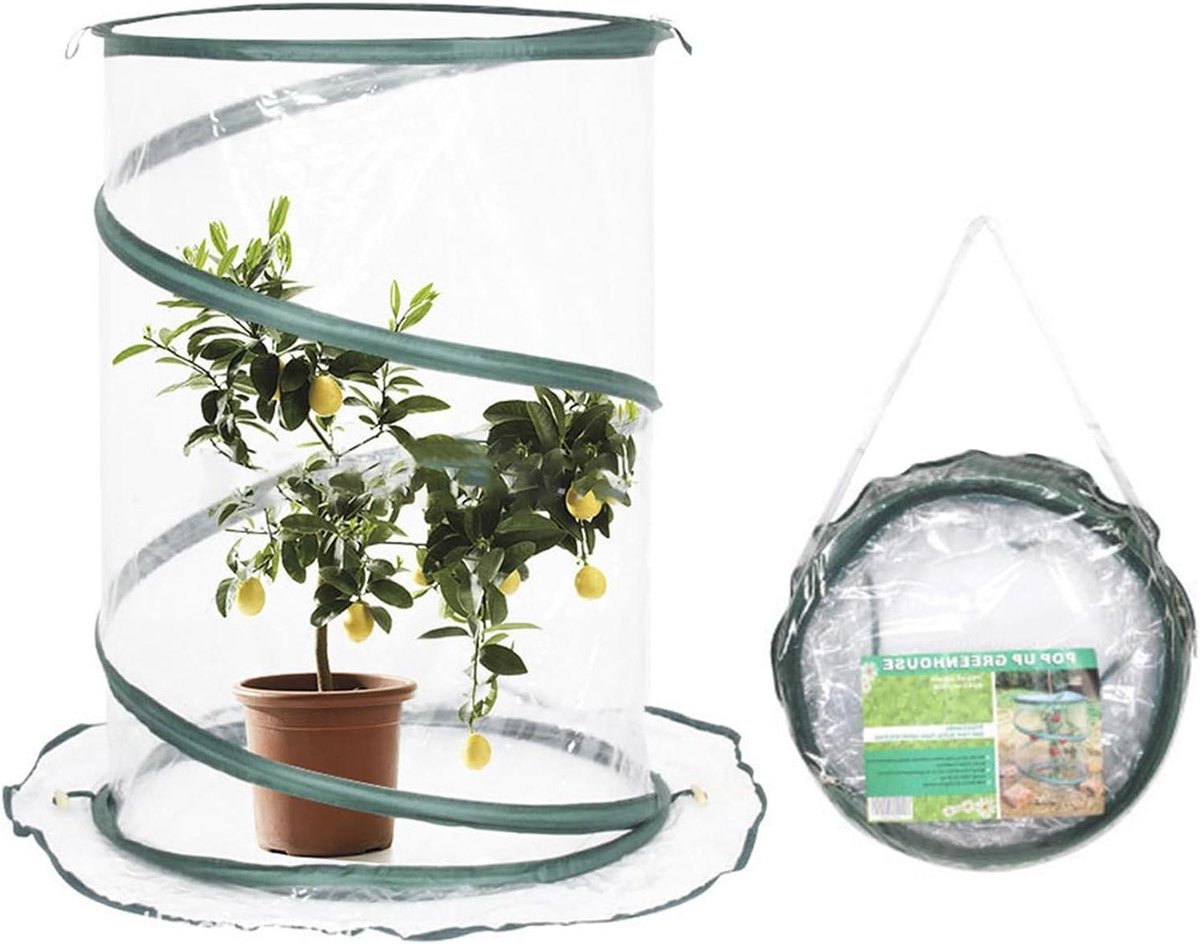 Pop-up Broeikas - Mini Kas Plantentent - Planten Beschermen - Draagbaar Ontwerp - 533 x 518 x 53 cm - Transparant