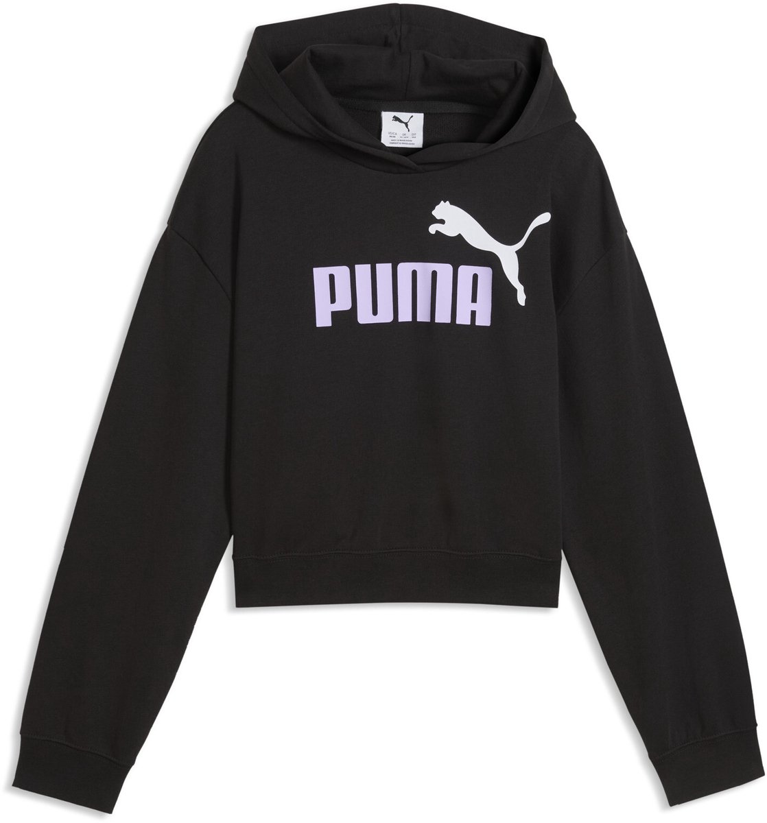 ESS 2 COLOR No 1 Logo Short Length Hoodie TR G Zwart