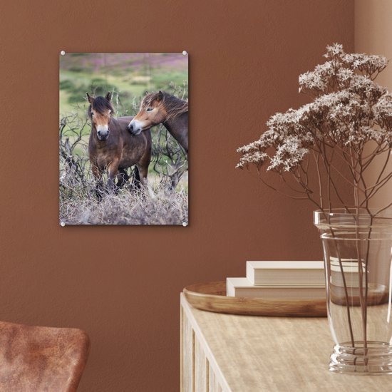 ® Glasschilderij 30x40 cm - Schilderij acrylglas - Paarden in het Nationaal park Exmoor in Engeland - Foto op glas - Muurdecoratie woonkamer - Wanddecoratie slaapkamer - Schilderijen