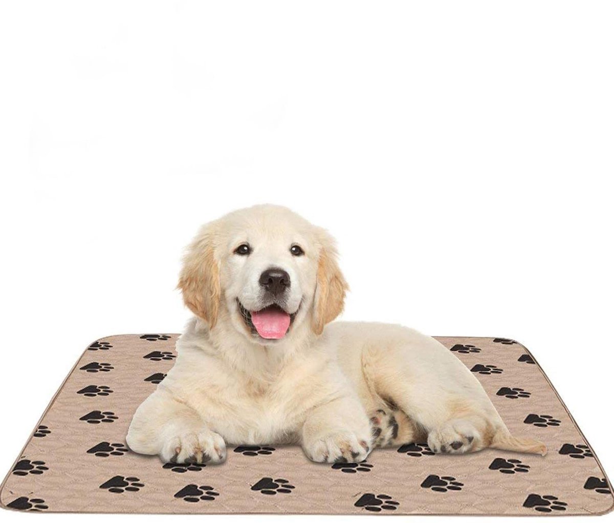aladdien - Wasbare Hond Incontinentie Pad - Absorberend - Waterdicht - 80 x 90 cm - Bruin - Puppy Plasmat - Geschikt voor Honden en Katten - Perfect..