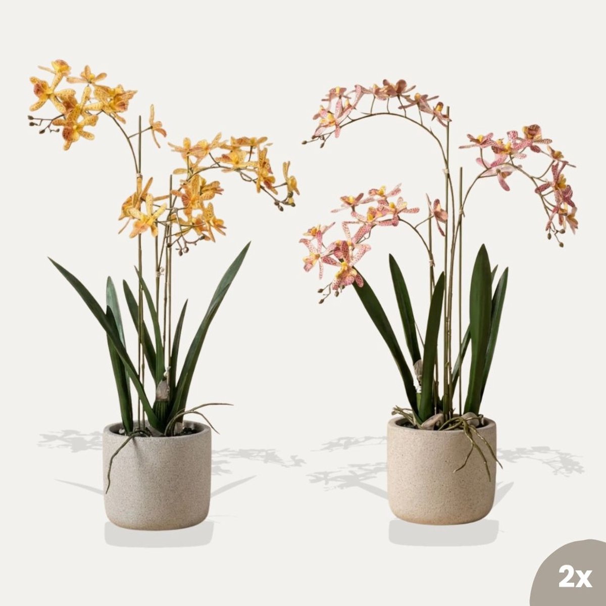 Renanthera orchidee Mix - 2 stuks - Kunstplanten - Bundel set