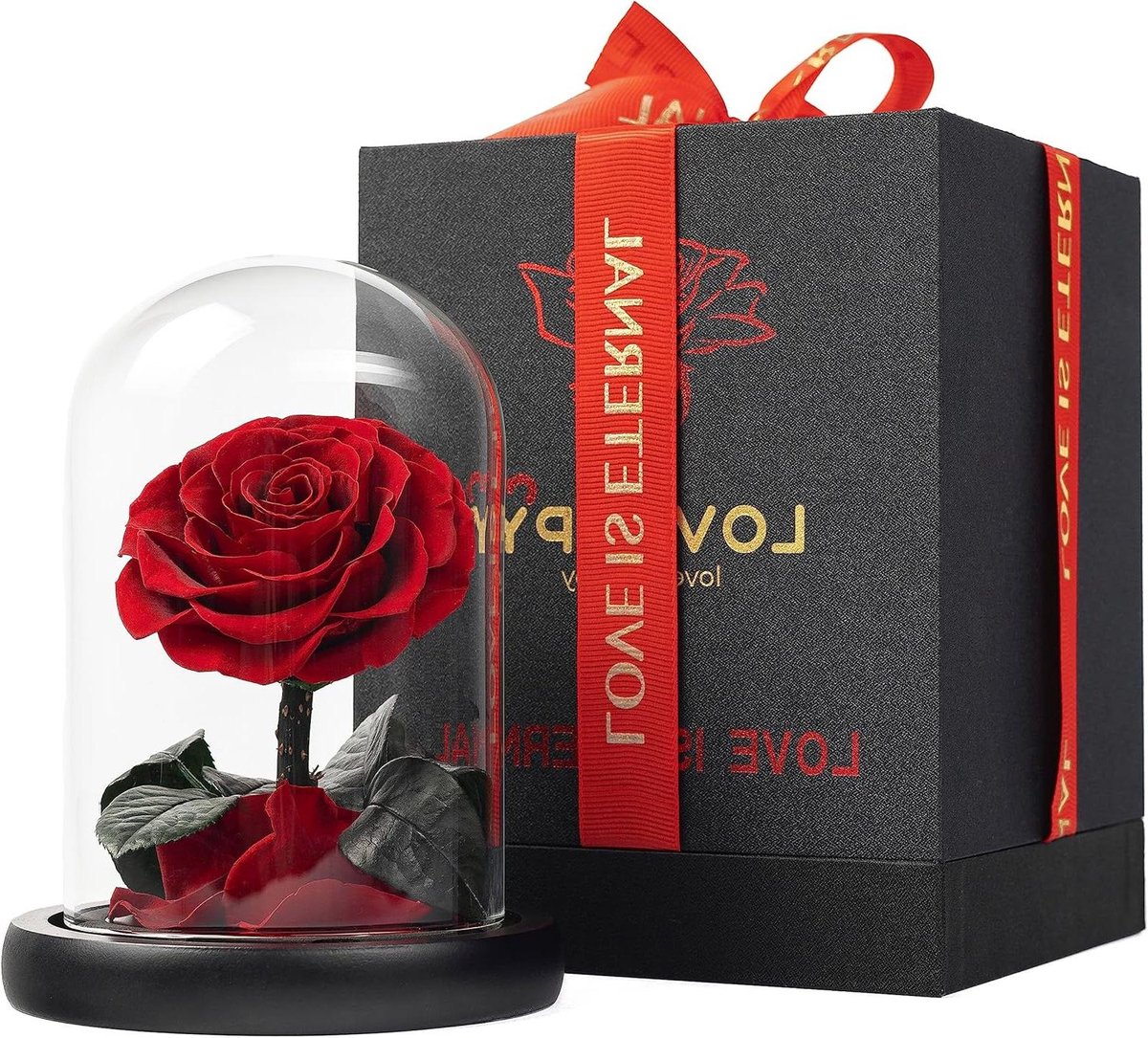 Bewarende Roos - Glazen Koepel - Romantisch Cadeau - Echte Bloem - 15 cm - Rood