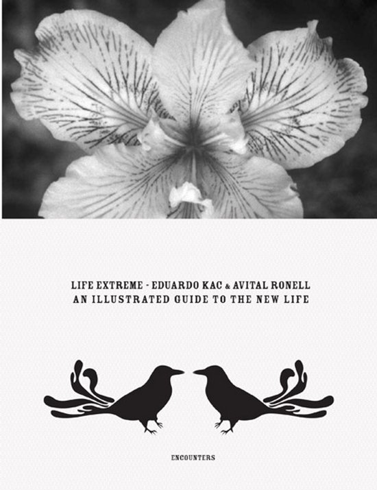 Life Extreme - cover