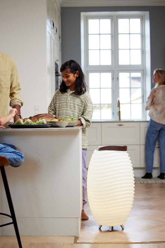 Kooduu Synergy 65 - Bluetooth Speaker - LED Lamp - Dimbaar - Wijnkoeler - Party Speaker - 71 cm hoog - Oplaadbaar - 11 uur Speeltijd - Draagbare Speakerlamp - 3-in-1 van Merkloos — afbeelding 5