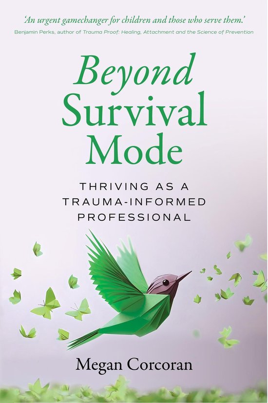 Beyond Survival Mode - cover