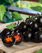 Snacktomaat Zaden Nightshade F1 Solanum Lycopersicum Eenjarig