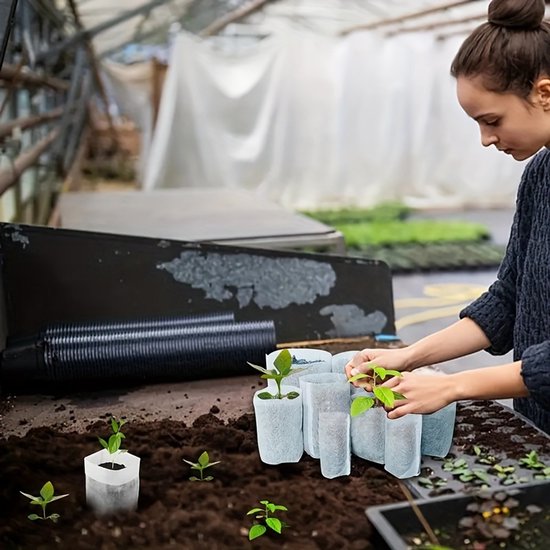 Een vrouw in een kas zet een jong plantje in een niet-geweven zak. Meer plantjes in zakken en grond op tafel.